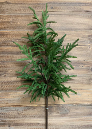Norfolk Pine Fresh Touch Branch 40"