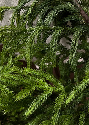 Norfolk Pine Dripping Garland FT  40"