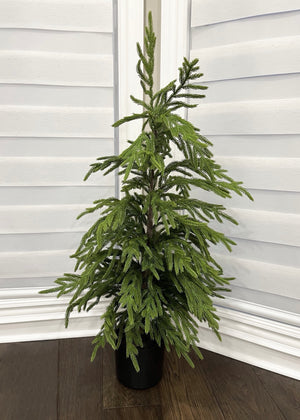 Norfolk Pine Tree 40" Fresh Touch