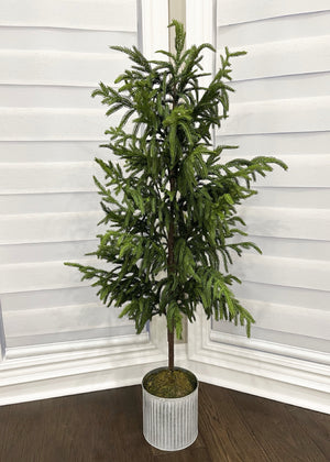Norfolk Pine Tree 48" Fresh Touch