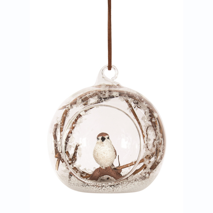 Orn Glass Cloche with Bird