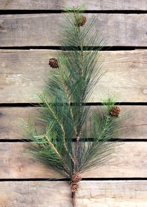 Pine Long Needle 29" Spray