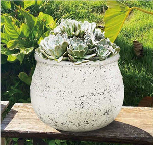 Planter Ficonstone Short Ivory Natural Stone SMALL