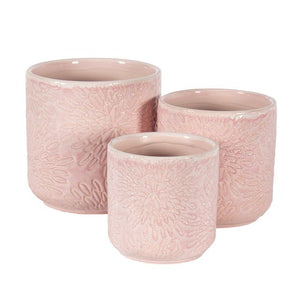 Pot Pink Flower (N30719)