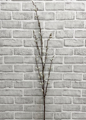 Pussy Willow Spray 46"