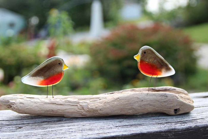 Robin Pair on Driftwood