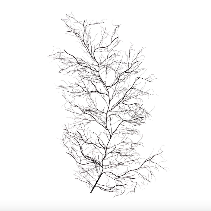 Willow Branch Metal Wall Decor