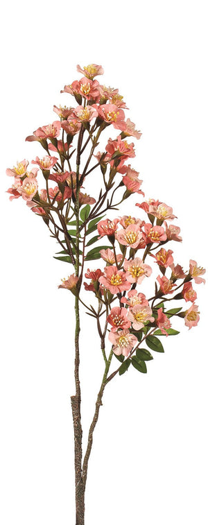 Spray Peach mini Blossom (N34673)