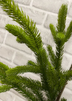 Spruce Branch Fresh Touch 31"