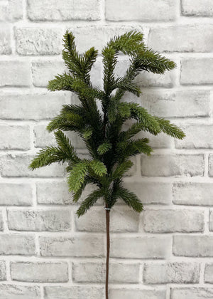 Spruce Spray 31.5"