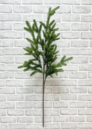 Spruce Spray 36" FT