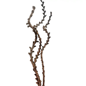 Buriti Curly Natural 42"