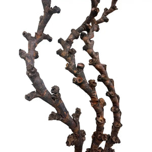 Buriti Curly Natural 42"