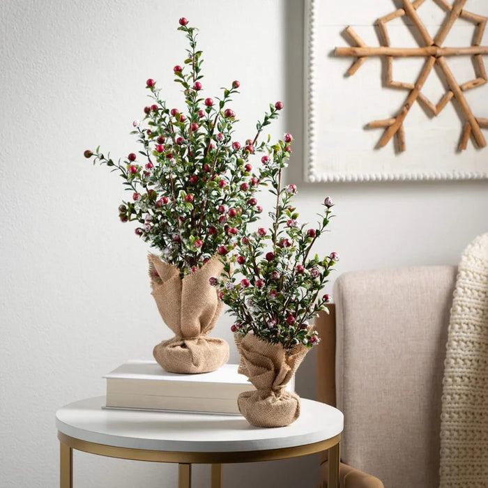 Holiday Boxwood Berry Tree 2 sizes