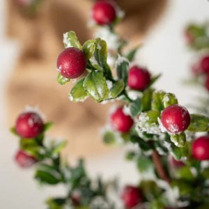 Holiday Boxwood Berry Tree 2 sizes