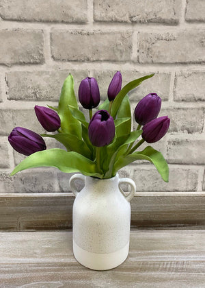 Tulip Bundle Purple Dynasty 12"