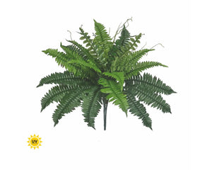 UV Boston Fern 22" (RN222GR)
