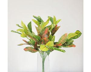 UV Croton Bush 18" gr/y/rd