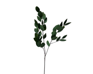 Eucalyptus Seeded UV 32"