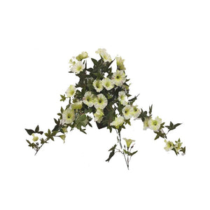 UV Hanging Bush Morning Glory Green/White