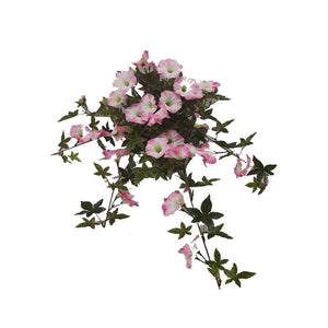 UV Hanging Bush Morning Glory Pink