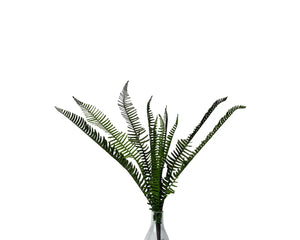 UV Fern 26" Bush