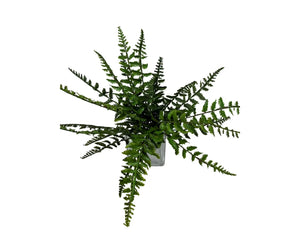 UV Fern 14" Bush (RN330GR)