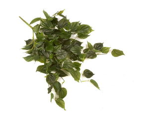 UV Hanging Philo Bush 34" (OM562GR)