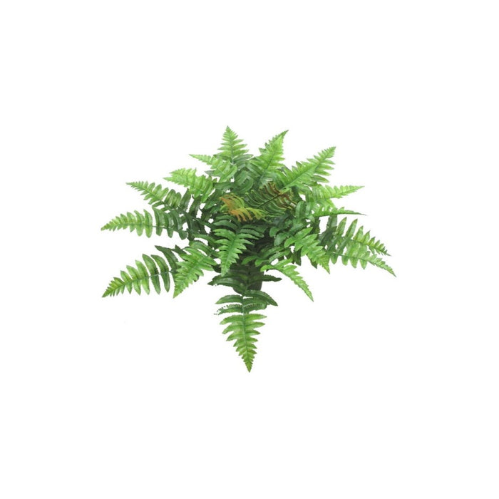 UV Boston Fern 20"