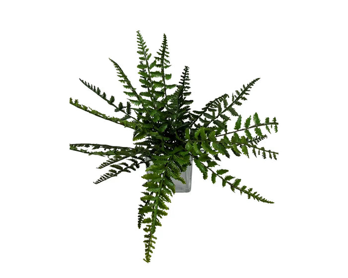 UV Fern 14" Bush