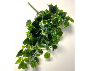 UV Hanging Bush Pothos 34" Green (OM564GR)