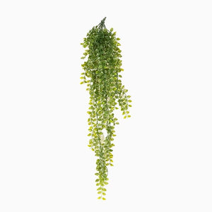 UV Hanging Bush Pea Leaf 32" (5505011)