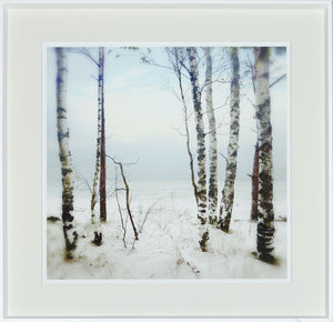 Art - After The Storm - Glass Framed Photography