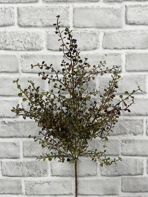 Baby Tear Bush Green Burgundy 20" (11691BURGR)