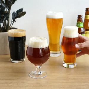 Beer Glass Tasting Gift Set/4