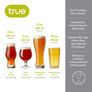 Beer Glass Tasting Gift Set/4