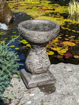 Birdbath Concrete Patio Dragonfly 17"