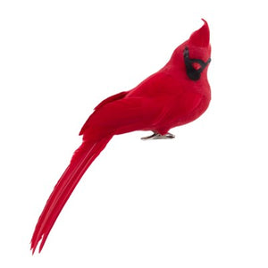 Ornament Cardinal Clip Feathered 10" (H6141)