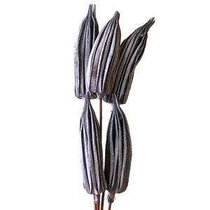 Okra Pods Large 5" Grey (01-1615)