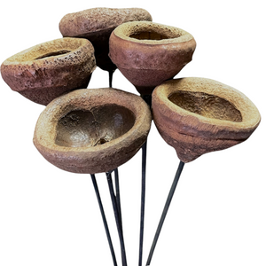 Chapeuzihno Pods Natural 3-4" (01-260NA)