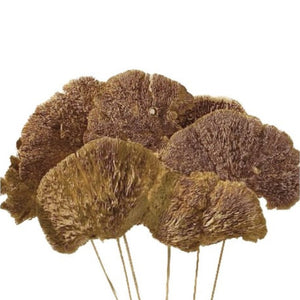 Mushroom Sponge Natural 4-5" (01-301NA)