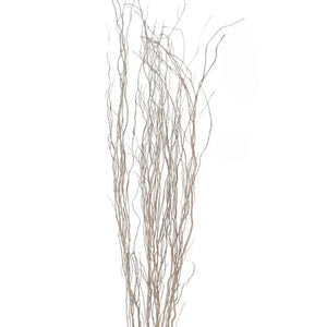 Curly Willow Taupe (01-1220TP)