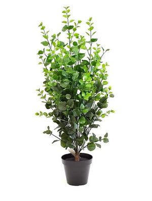 36" Eucalyptus Bush (5607002G)
