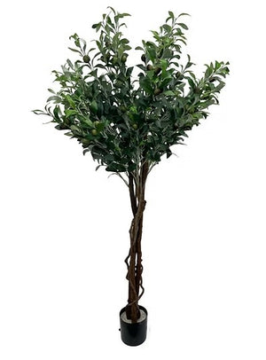 54" Olive Tree Topiary (5300211)