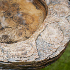 Fossil Birdbath-Not Just For The Garden | Metal Art | Décor for Homes, Walls and Gardens | Furniture | Custom Garden Planters and Flower Arrangements | Gifts | Best in KW