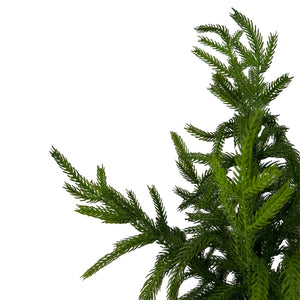 18" Fresh Touch Norfolk Pine Tree - Potted-Not Just For The Garden | Metal Art | Décor for Homes, Walls and Gardens | Furniture | Custom Garden Planters and Flower Arrangements | Gifts | Best in KW