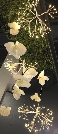 LED Dandelion Light Cluster Plug-In