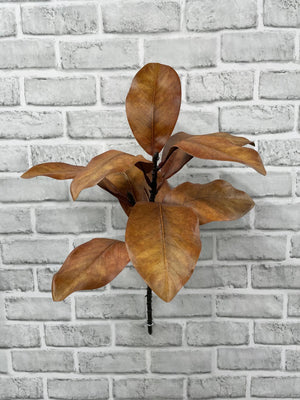 Magnolia Spray Brown 21.5" (11664FALL)
