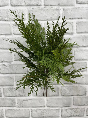 Northern White Cedar Bundle fresh touch 16" (82002)