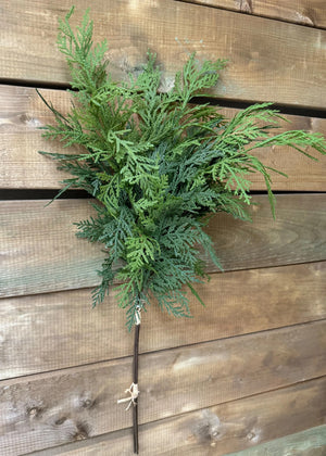 Northern White Cedar Bundle 28" fresh touch (81845)